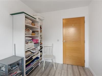 Picture 31
